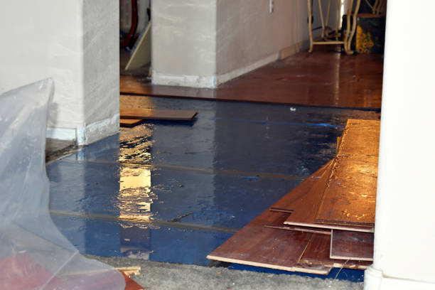 Professional Basement Flood Cleanup technician working in Strafford, NH